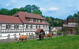 Hammermühle Hotel & Gesundheitsresort - Hotel-Außenansicht