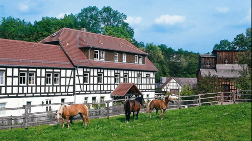 Hammermühle Hotel & Gesundheitsresort - Hotel-Außenansicht