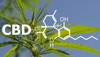 Probieren Sie unsere exklusive Neuigkeit im Spa Resort Sanssouci aus und erleben Sie eine echte Entspannung mit der Natur- und Heilkosmetik CBD mit Hanf! Das Hanf-Paket CBD bringt vor allem Entspannung und Regeneration sowohl aus der physischen, als auch