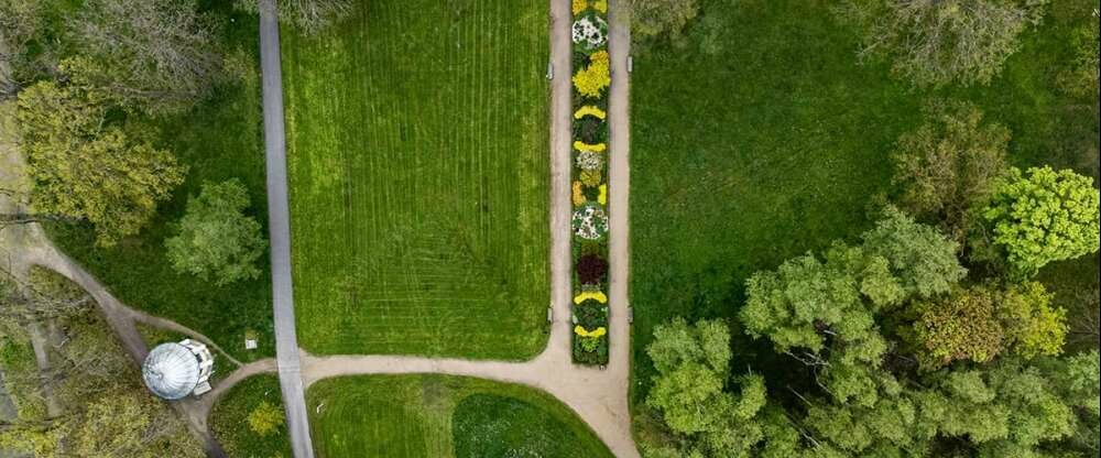 Harvey Spa Hotel - Terrasse/Außenbereich