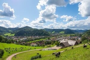 Hausach
