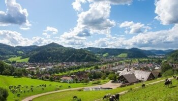 Hausach
