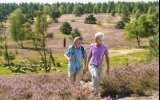 Heidewanderung