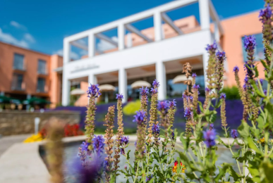 Hotel, Quelle: Hotel am Vitalpark