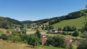 Blick von der "Freienstein-Ruine" auf das Hotel