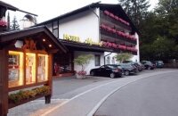 Hotel Alpenhof - Hotel-Außenansicht