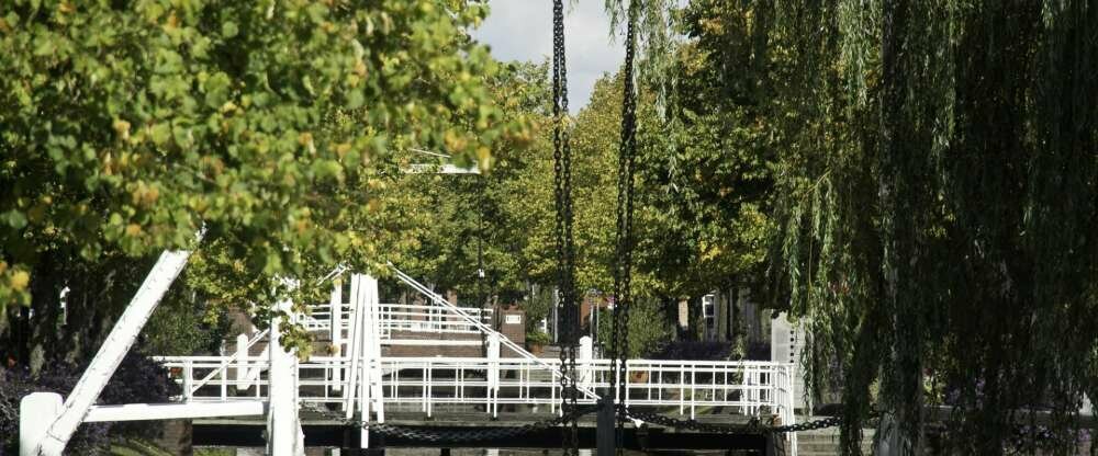 Hotel Alte Werft GmbH & Co. KG - Umgebung