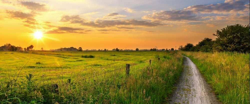 Hotel Alte Werft GmbH & Co. KG - Umgebung