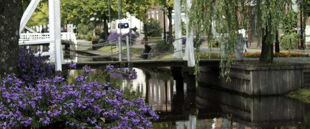 Hotel Alte Werft GmbH & Co. KG - Umgebung