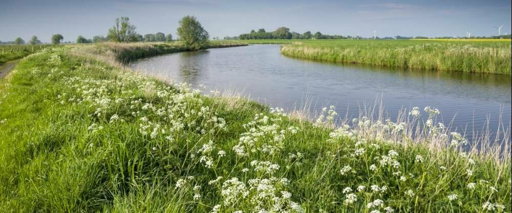 Hotel Alte Werft GmbH & Co. KG - Umgebung