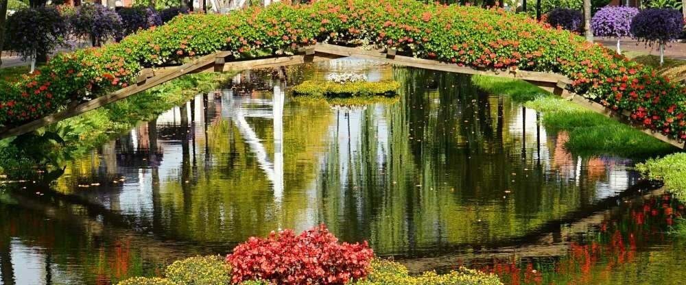 Hotel Alte Werft GmbH & Co. KG - Umgebung