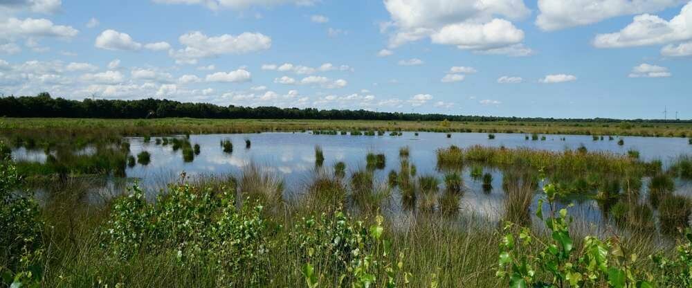 Hotel Alte Werft GmbH & Co. KG - Umgebung