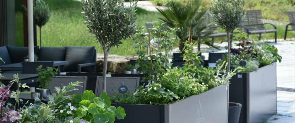 Sonnenterrasse Restaurant BEATUS