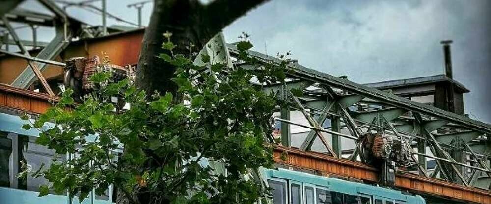 Hotel Amical - Umgebung