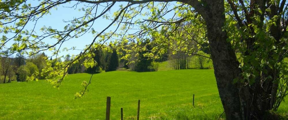 Hotel Breggers Schwanen 4**** - Umgebung