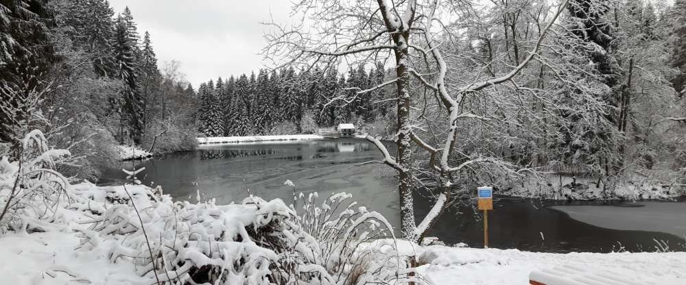 Hotel Carola - Umgebung