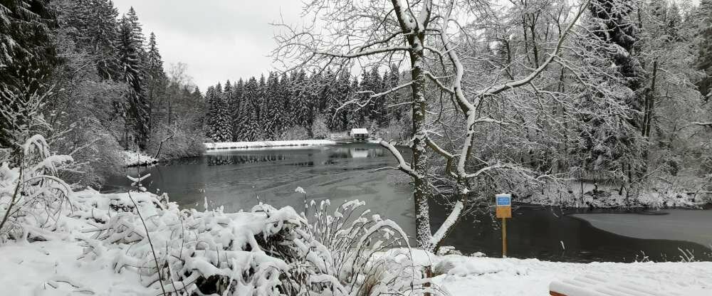 Hotel Carola - Umgebung