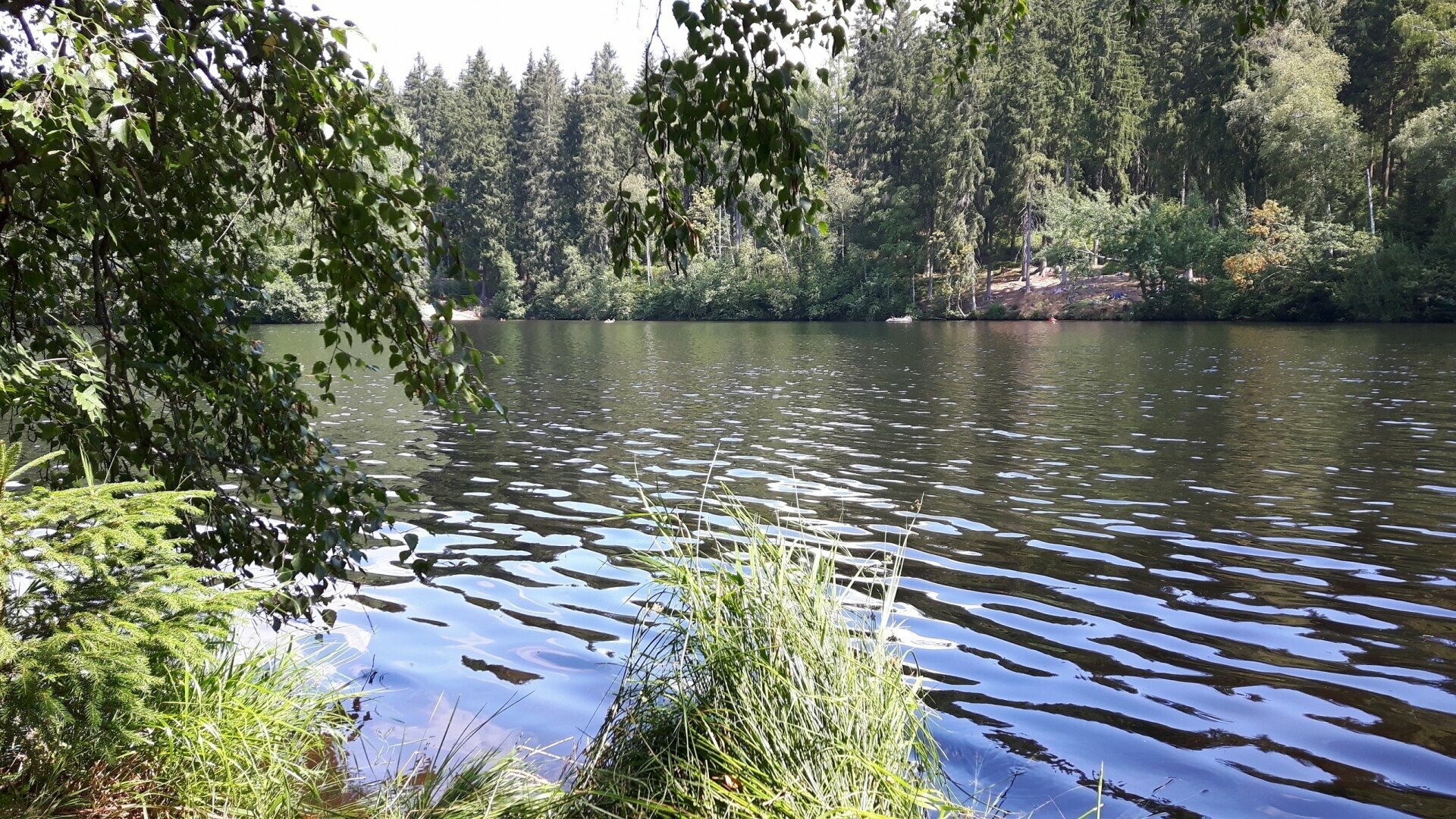 W(u)anderbares Erzgebirge