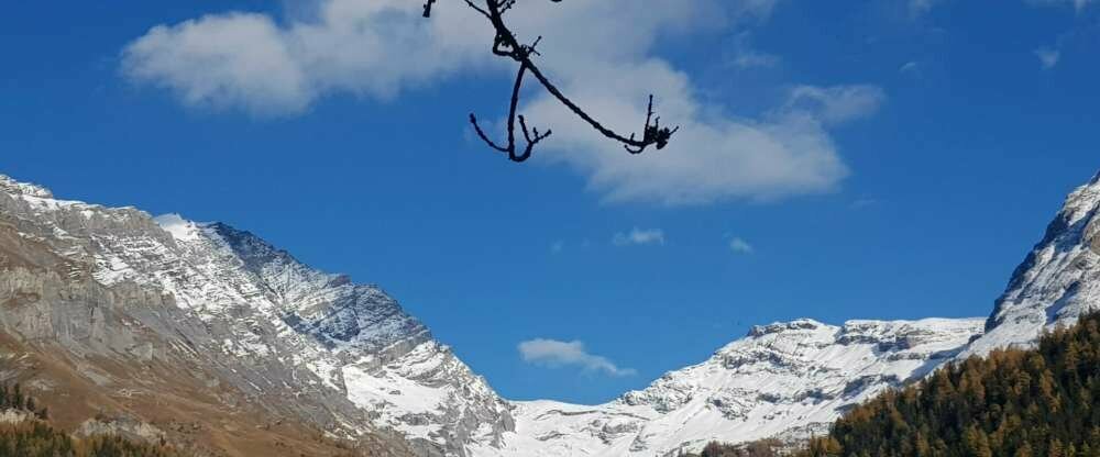 Hotel de la Croix Federale - Umgebung