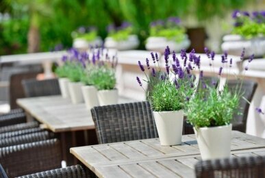 Hotel DER LINDENHOF - Terrasse/Außenbereich, Quelle: Hotel DER LINDENHOF