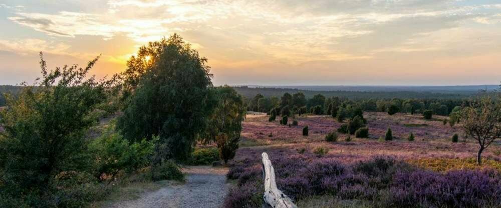 Hotel Egestorfer Hof - Hotel-Außenansicht