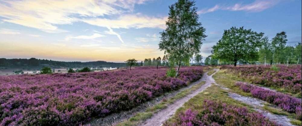 Hotel Egestorfer Hof - Hotel-Außenansicht