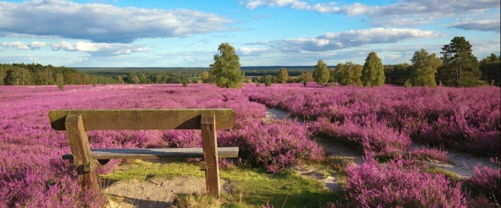 Hotel Egestorfer Hof - Hotel-Außenansicht