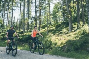 E-Bike