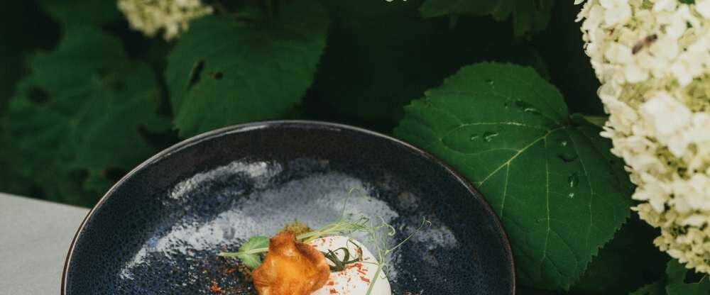 Kulinarik mit unserer 3/4 Schmankerlpension