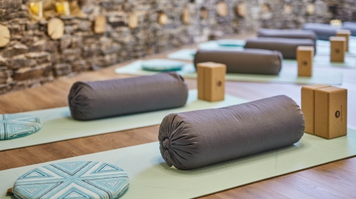 Hotel Halfenstube & Villa Spa 1894 - Wellnessbereich