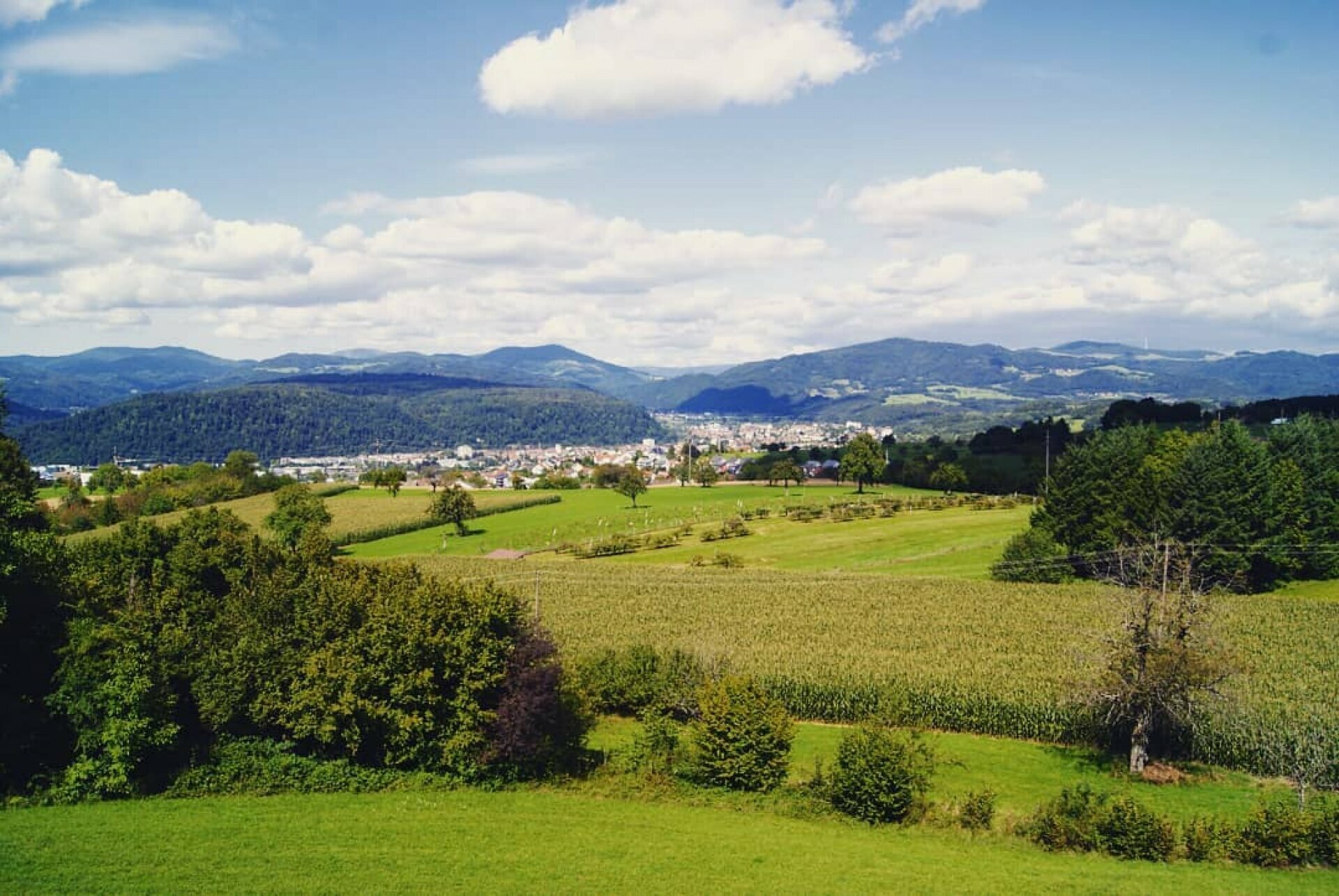 5 Tage Erholung und Genuss im Schwarzwald