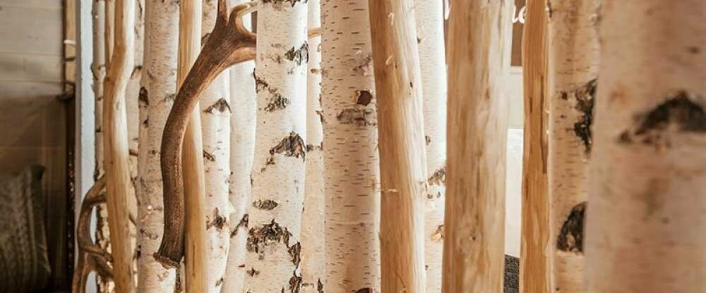 Hotel Im Krummbachtal