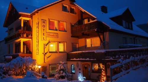 Hotel Im Winter