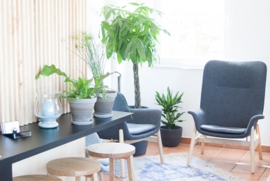 Array, Quelle: Hotel Whitman