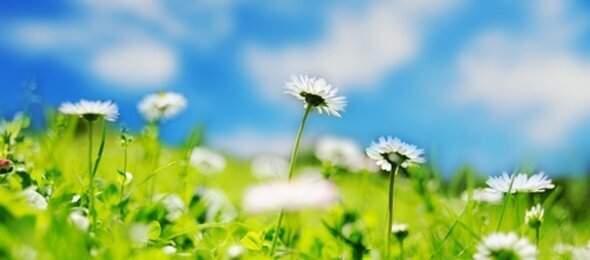 Himmelfahrt, Quelle: Hotel Jagdschloss Letzlingen