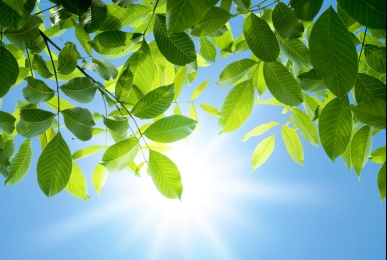 Array, Quelle: Hotel Jagdschloss Letzlingen