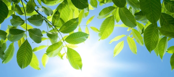 Hotel Jagdschloss Letzlingen - Sonstiges, Quelle: Hotel Jagdschloss Letzlingen