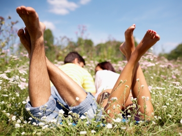 Array, Quelle: Hotel Jagdschloss Letzlingen