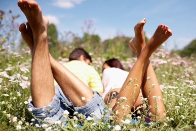 Array, Quelle: Hotel Jagdschloss Letzlingen