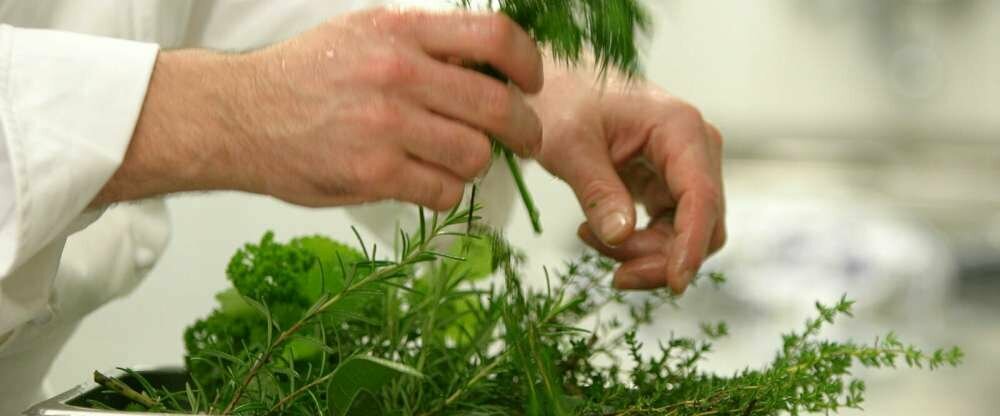 Hotel Kirnbacher Hof - Küche