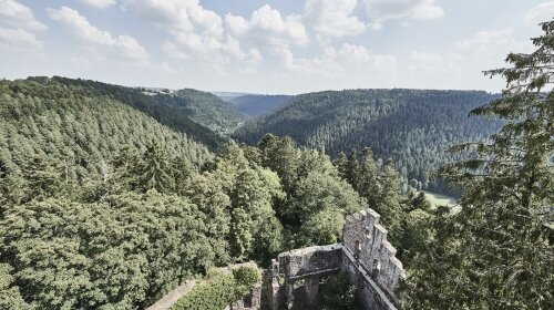 Hotel Kronelamm im Schwarzwald - Hotel-Außenansicht