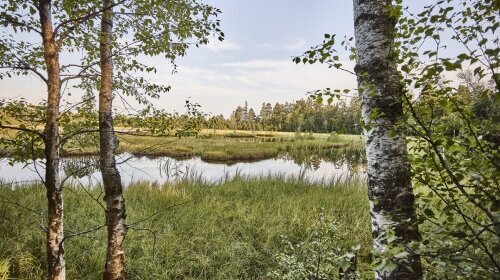 Hotel Kronelamm im Schwarzwald - Hotel-Außenansicht