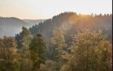 Hotel Kronelamm im Schwarzwald - Hotel-Außenansicht