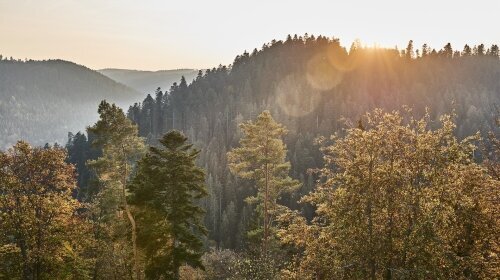 Hotel Kronelamm im Schwarzwald - Hotel-Außenansicht