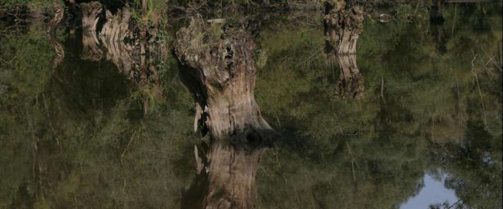 Hotel Landgasthof Ratz - Umgebung