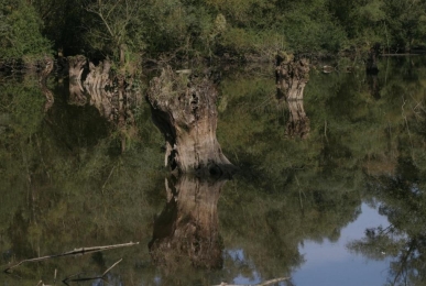 Array, Quelle: Hotel Landgasthof Ratz 