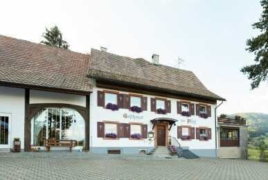 Hotel*** Landgasthof zum Pflug - Hotel-Außenansicht, Quelle: Hotel*** Landgasthof zum Pflug