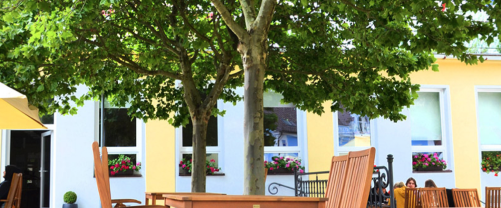 Hotel Lesní Zátiší - Terrasse/Außenbereich