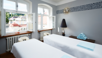 Hotel Lesní Zátiší - Wellnessbereich