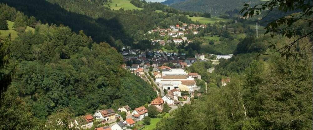 Hotel Löwen - Umgebung
